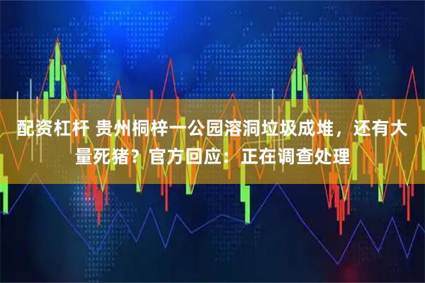 配资杠杆 贵州桐梓一公园溶洞垃圾成堆,还有大量死猪?官方回应:正在调查处理