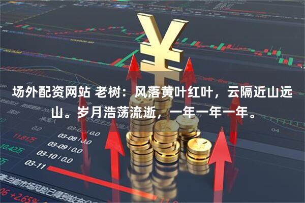 场外配资网站 老树:风落黄叶红叶,云隔近山远山。岁月浩荡流逝,一年一年一年。
